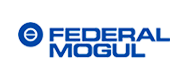 client federal-mogul